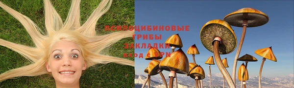 прущая мука Богородицк