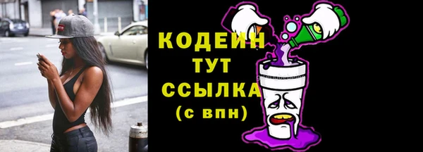 соль ск Богданович