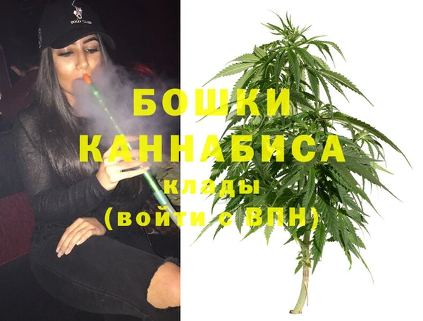 соль ск Богданович