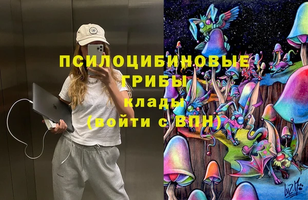 соль ск Богданович