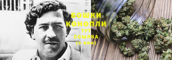шишки Беломорск